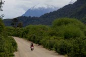 Durch den Regenwald-Radreise mit Kindern durch Patagonien-Argentinien und Chile-Axel Bauer, Wibke Raßbach Smilla und Selma